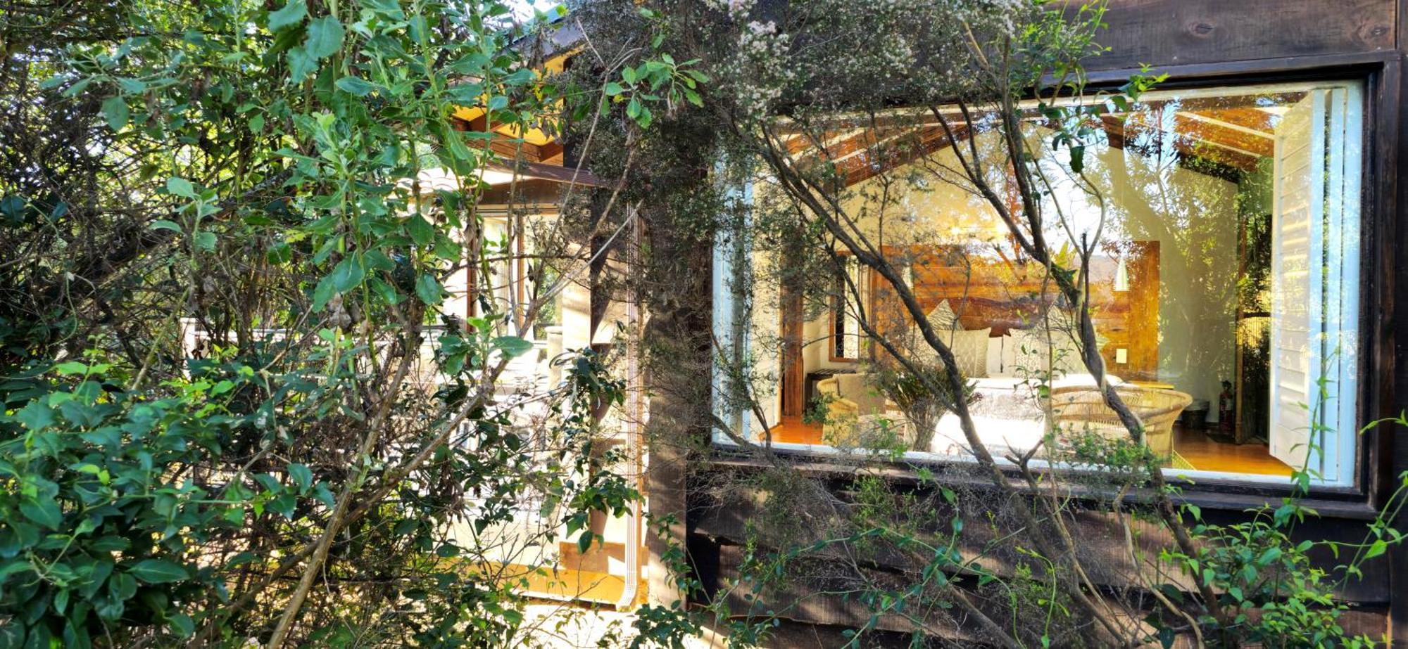 Elephant Hide Of Knysna Guest Lodge Exteriér fotografie