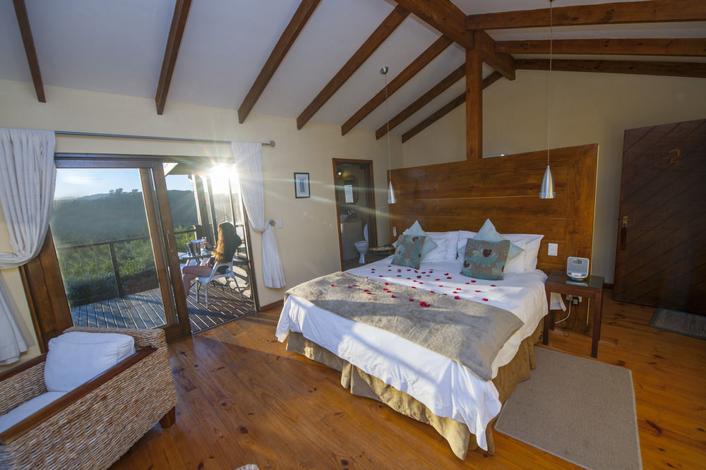 Elephant Hide Of Knysna Guest Lodge Exteriér fotografie