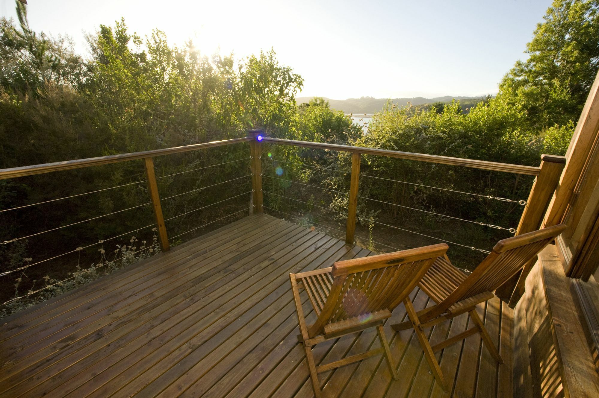 Elephant Hide Of Knysna Guest Lodge Exteriér fotografie